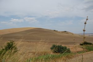 Ambiente, miglioriamo sempre più!